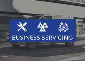 Business Servicing